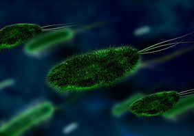 Bacteria-Pixabay-ThomasG..jpg